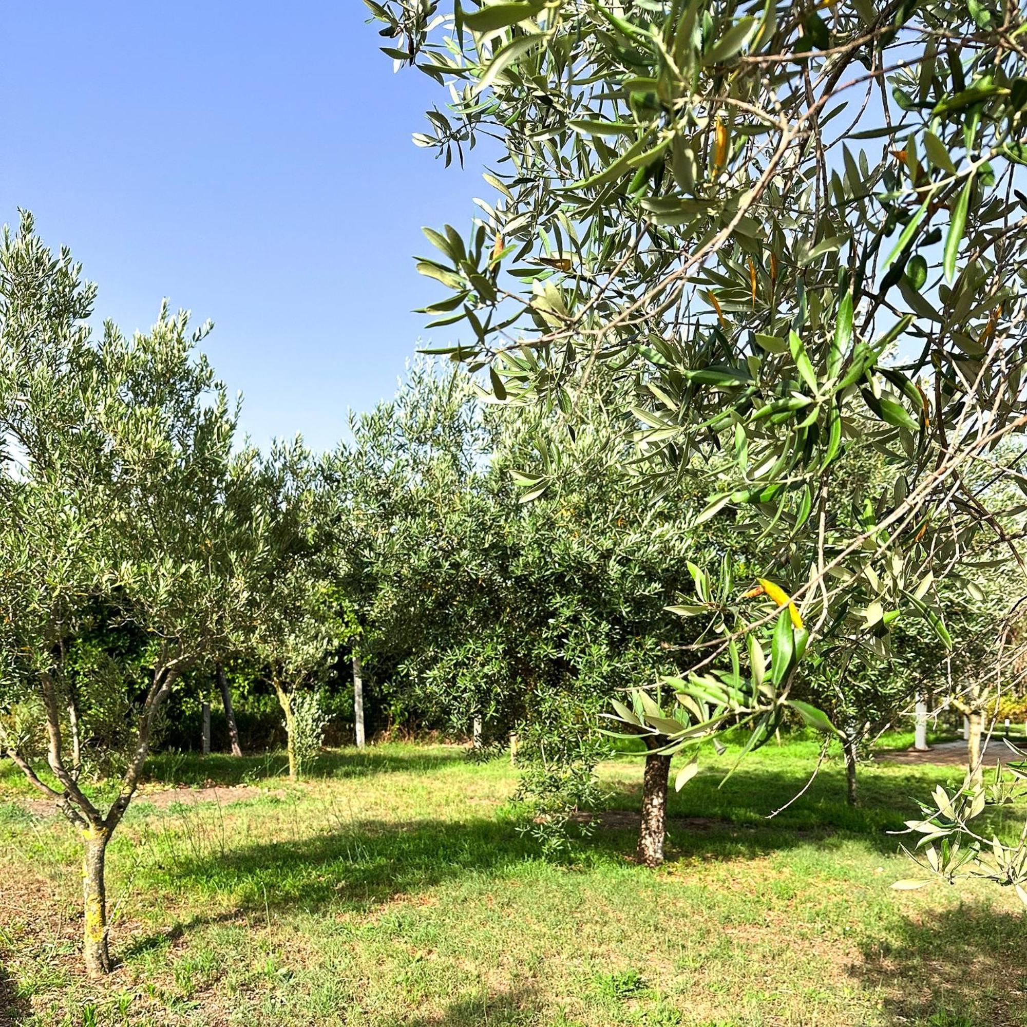Tenuta Nunziata - Food, Event, Biofarm Torre Annunziata Buitenkant foto